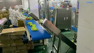 KenHigh/Flavored Ice Cube Ball VFFS Continuous Motion High Speed 100-150 BPM Packing Bagging Machine