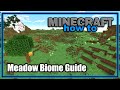 Everything About the Meadow Biome! (1.18+) | Minecraft Biome Guide