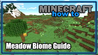 Everything About the Meadow Biome! (1.18+) | Minecraft Biome Guide Content