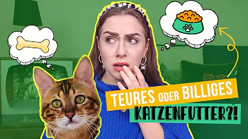 Welches Katzenfutter ist für Igel am besten?