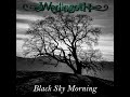 Capture de la vidéo Wedingoth - Black Sky Morning (Official Lyric Video)