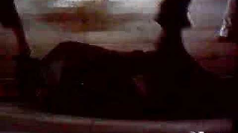 Awakening Of Basilisk