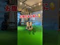 裏ワザぺたんこ腹#脚痩せ #下半身痩せ #くびれ #痩せる #shorts