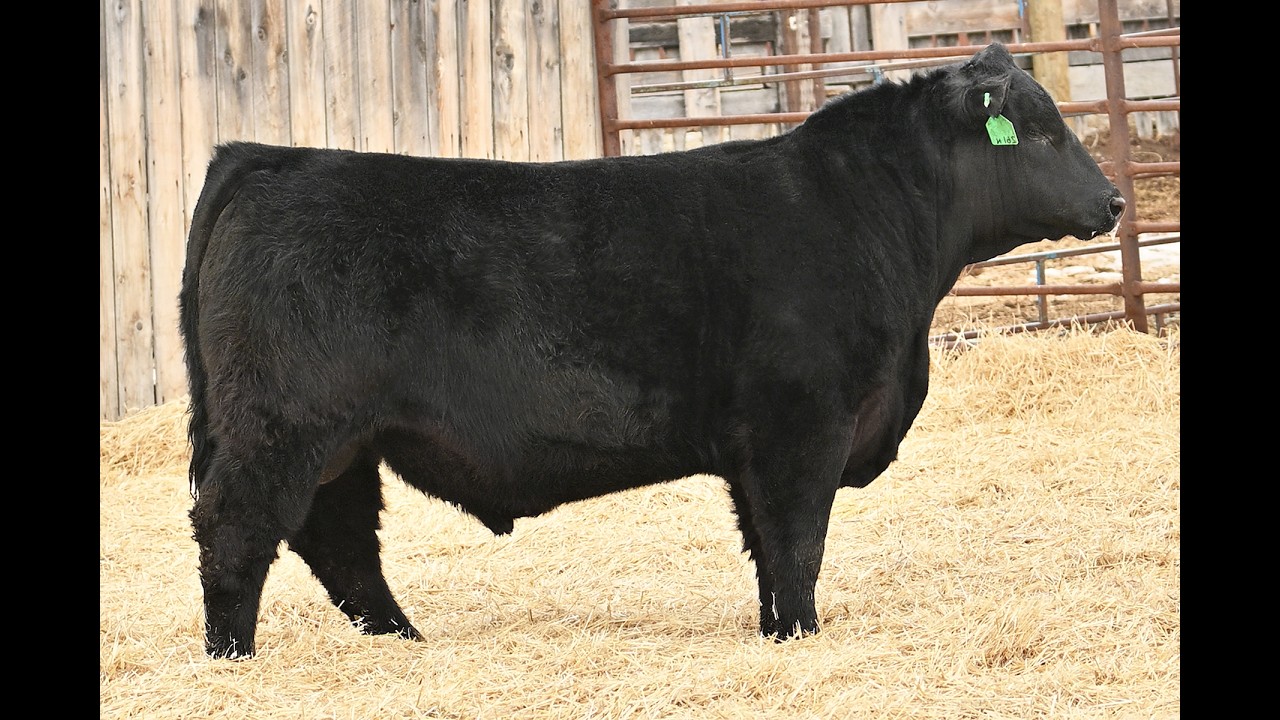 Tag 261 TAG 261N - SOUTH SHADOW 99L VERSATILE 261 - pg 27 - YouTube