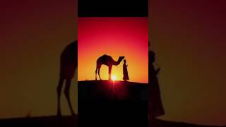 Peygamberler  ❤️