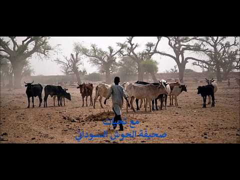 تحليل حميل من البقاري الفاضل حامد الجقوري عن ارجاء ترامب لرفع العقوبات 