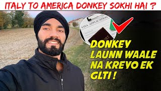 Italy To America Donkey Sokhi Hai ?? Donkey Laun Waale Na Kreyo Ek Galti