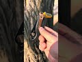 spyderco para 3 lightweight black serrated #edc #edcorganizer #tacticaledc #spydercoknives