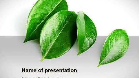 Green Leaves PowerPoint Template by PoweredTemplate.com