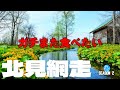 北見 網走 界隈 ガチまた食べたい11軒★SEASON2※043 （Subtitles：English,Thai,Korean,Chinese）
