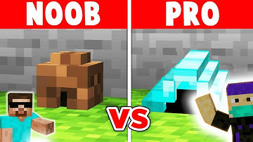Minecraft NOOB vs PRO: SAFEST TINY HOUSE BUILD CHALLENGE