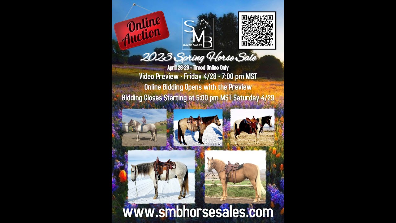 SMB 2023 Spring Online Horse Sale YouTube