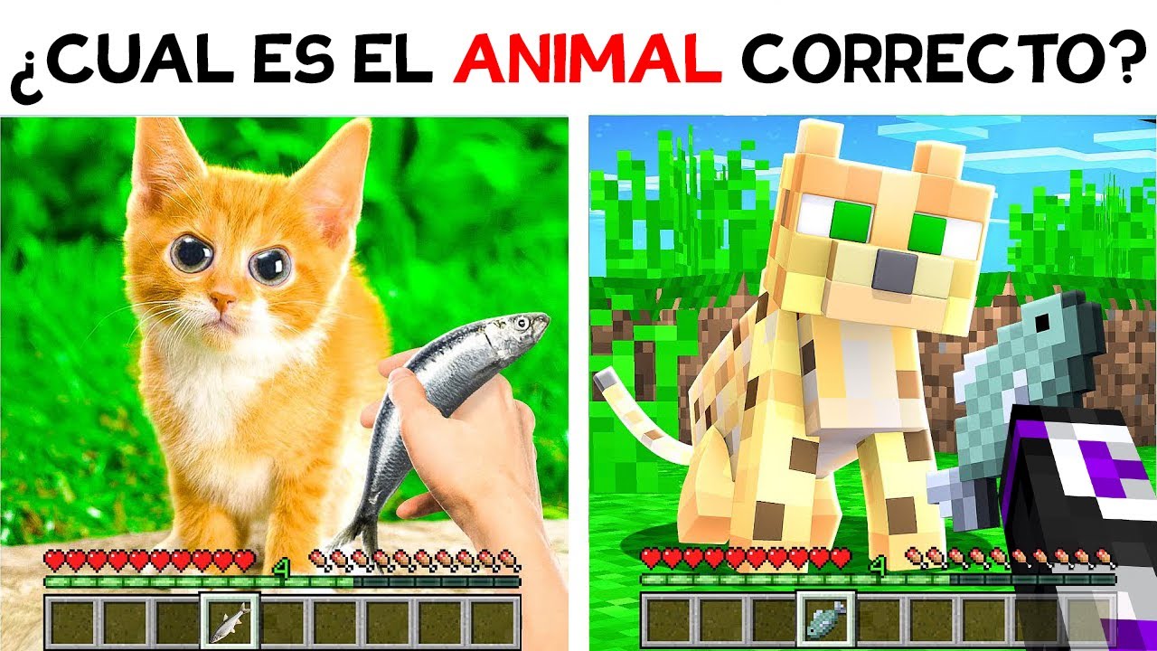 NO ESCOJAS el ANIMAL EQUIVOCADO en MINECRAFT 🐶 ADIVINA el ANIMAL MINECRAFT