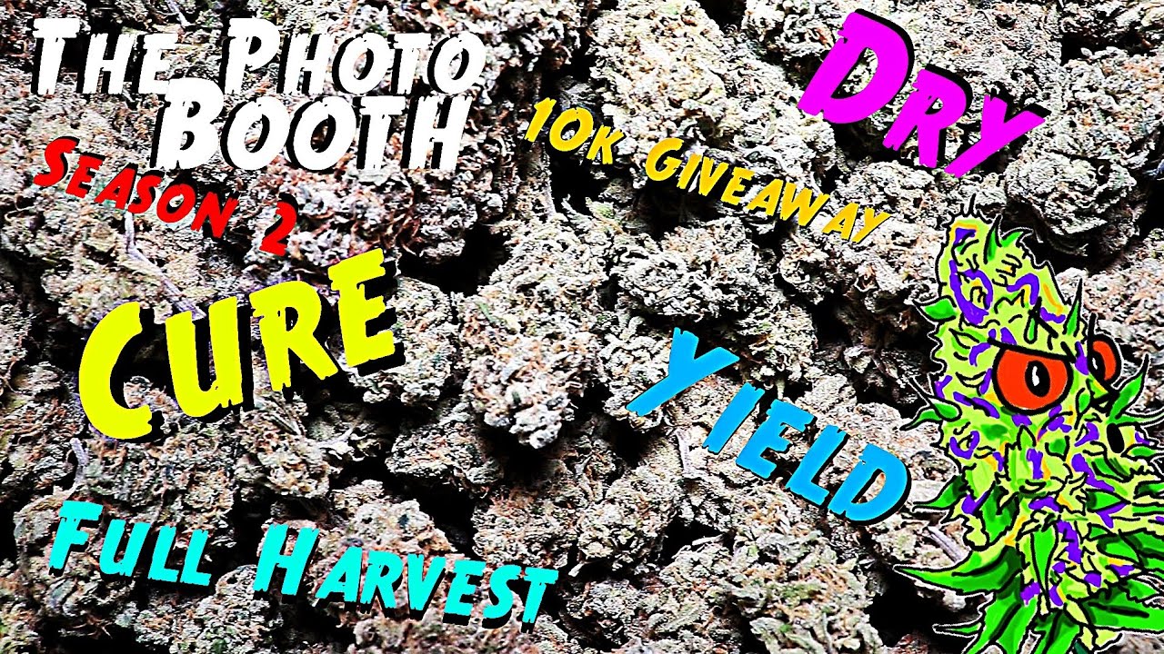 The Photo Booth S2 Ep. 10 | OG Kush Full Harvest, Dry, Cure, & Yield | 10k Giveaway