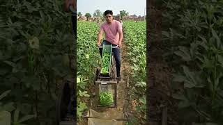 साइकिल वाली भिंडी मशीन 🚲✨#BhindiMachine #DesiJugaad #FarmingInnovation #KisanTech #YouTubeSho