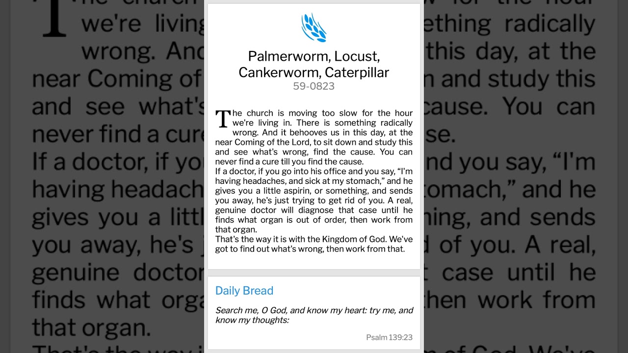 palmerworm cankerworm locust caterpillar