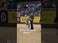 Did you see the British Miniature Horses at Horse of the Year Show last year? #HOYS #equestrian