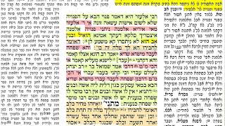 הדף היומי מסכת תמורה דף ל Daf yomi Temurah daf 30