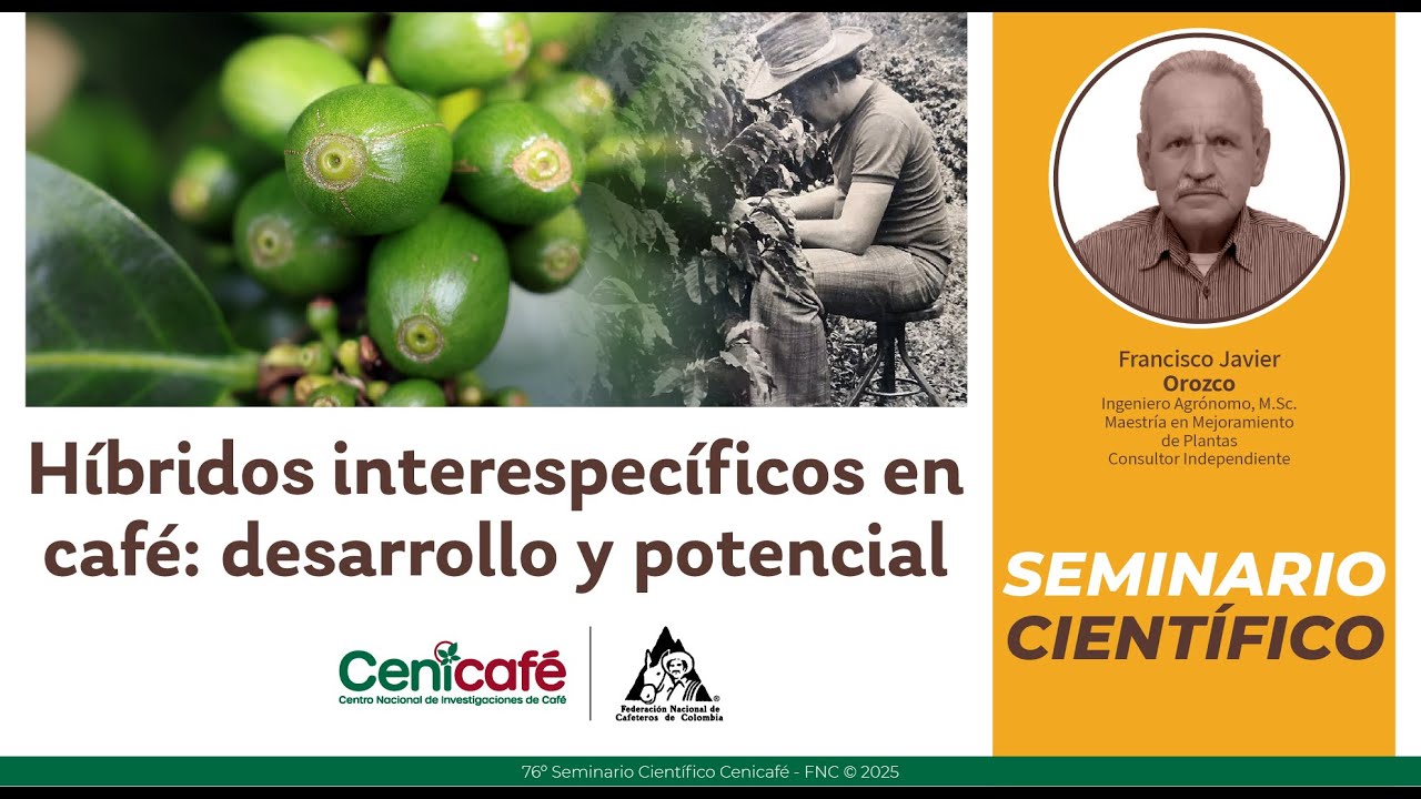 Híbridos Interespecíficos en Café: Desarrollo y Potencial