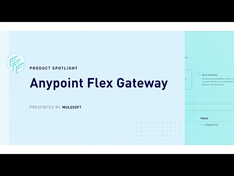 Product Spotlight: Anypoint