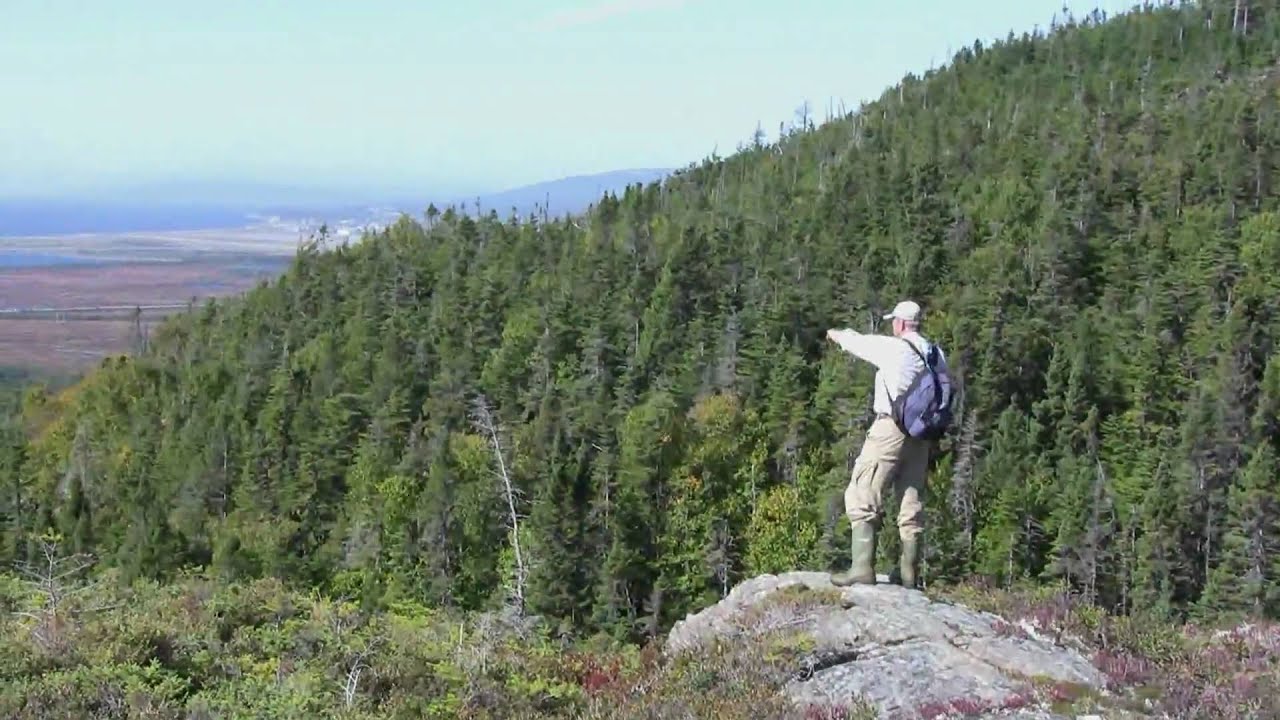 Hiking from Stephenville Crossing to Noels Pond YouTube