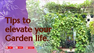 Amazing Gardening Tips| Successful Home Gardening ideas in Telugu part-1 bhagyalakshminivasam