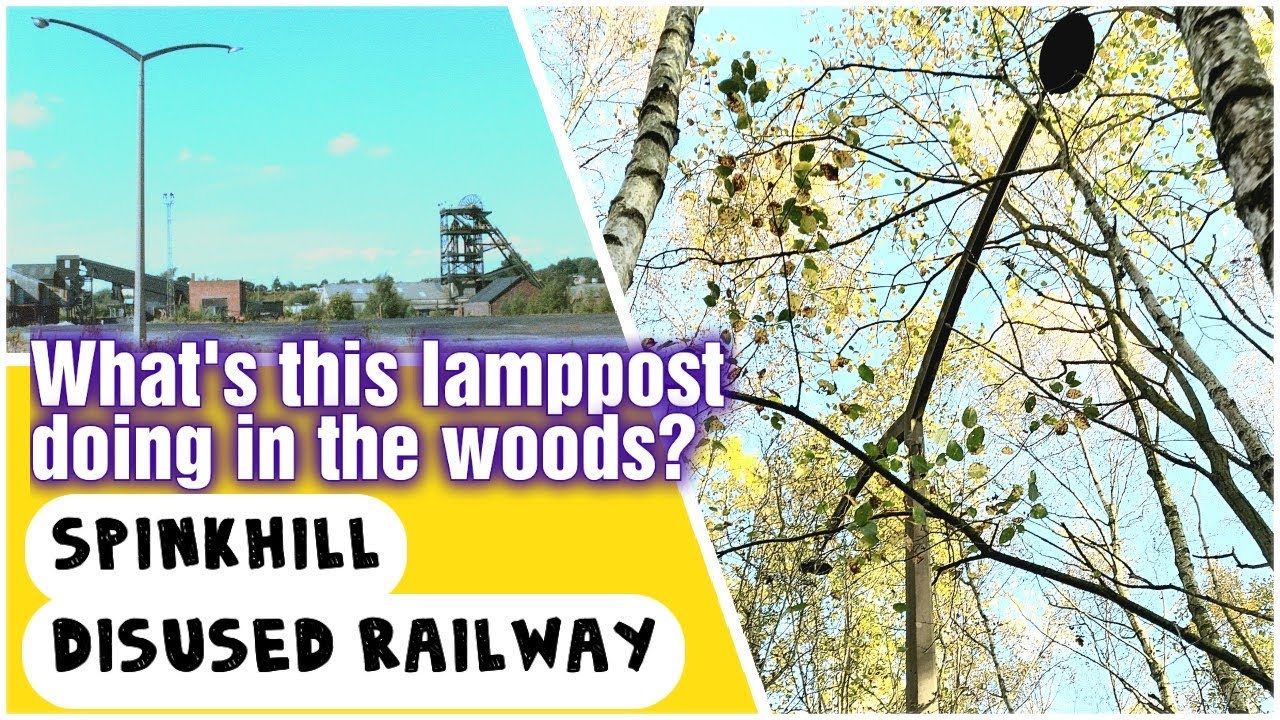 The Creepy Lamppost in the Woods