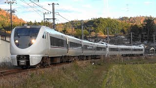 2019/11/29 5087M 特急 はしだて7号 289系(FG409編成+FH305編成)