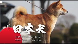 社団法人 日本犬保存会ブロンズ像です。34年前。とても貴重品!大幅値下げです。 mqdefault.jpg