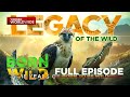 Legacy of the Wild - 18th Anniversary Special (Part 1) | Born To Be Wild
