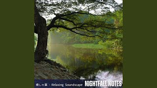 Reflections on a Gentle Stream