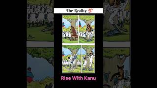 Best Performing Titles (Recommended):"Wolf Tries To Disguise As Sheep... Epic Fail 😂"