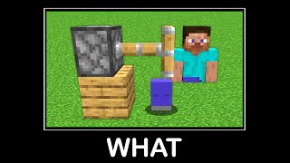 WAIT WHAT (Minecraft) #80