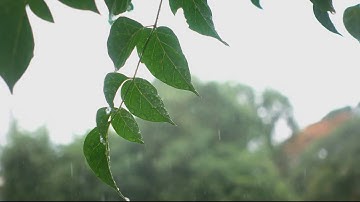 Making a Colony Builder - Devlog - Depression, Development, and Debugging