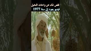 نقص الماء عن واحات النخيل في االجزائر، فيديو يعود لسنة 1977 #youtubeshorts