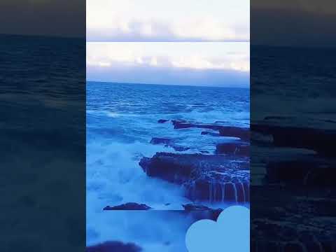 انا زيك بحب حبيبي واشتاقلو