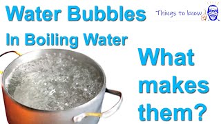 Boiling Water Bubbles , what makes them exactly? What are they made of?