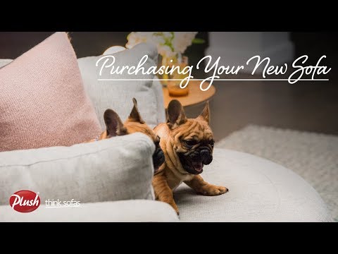 buying-with-plush:-purchasing-your-new-sofa