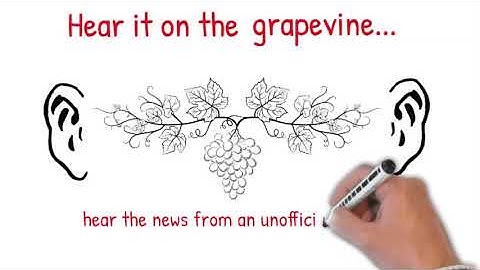 Hear on the grapevine là gì năm 2024