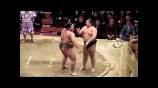 The funniest SUMO Wrestlers in JAPAN