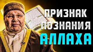ПРИЗНАК ПОЗНАНИЯ АЛЛАХА | Будь хорошего мнения об Аллахе-Шейх Мухаммад ан-Наблюси