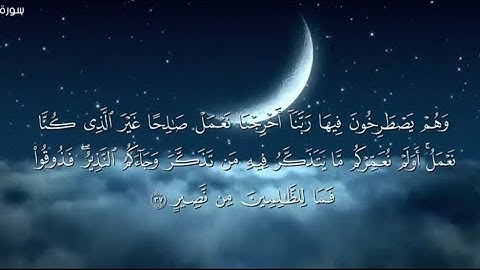 ماتيسر من سورة فاطر #وهم يصطرخون فيها ربنا اخرجنا منها نعمل صالحا