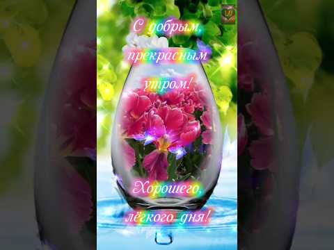 С добрым и прекрасным утром!☀️🌷🌷🌷🌷🌷🥰 Хорошего и лёгкого тебе дня! 😘😘😘