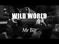 Wild World - Mr Big (Acoustic Karaoke)