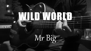 Wild World - Mr Big (Acoustic Karaoke)