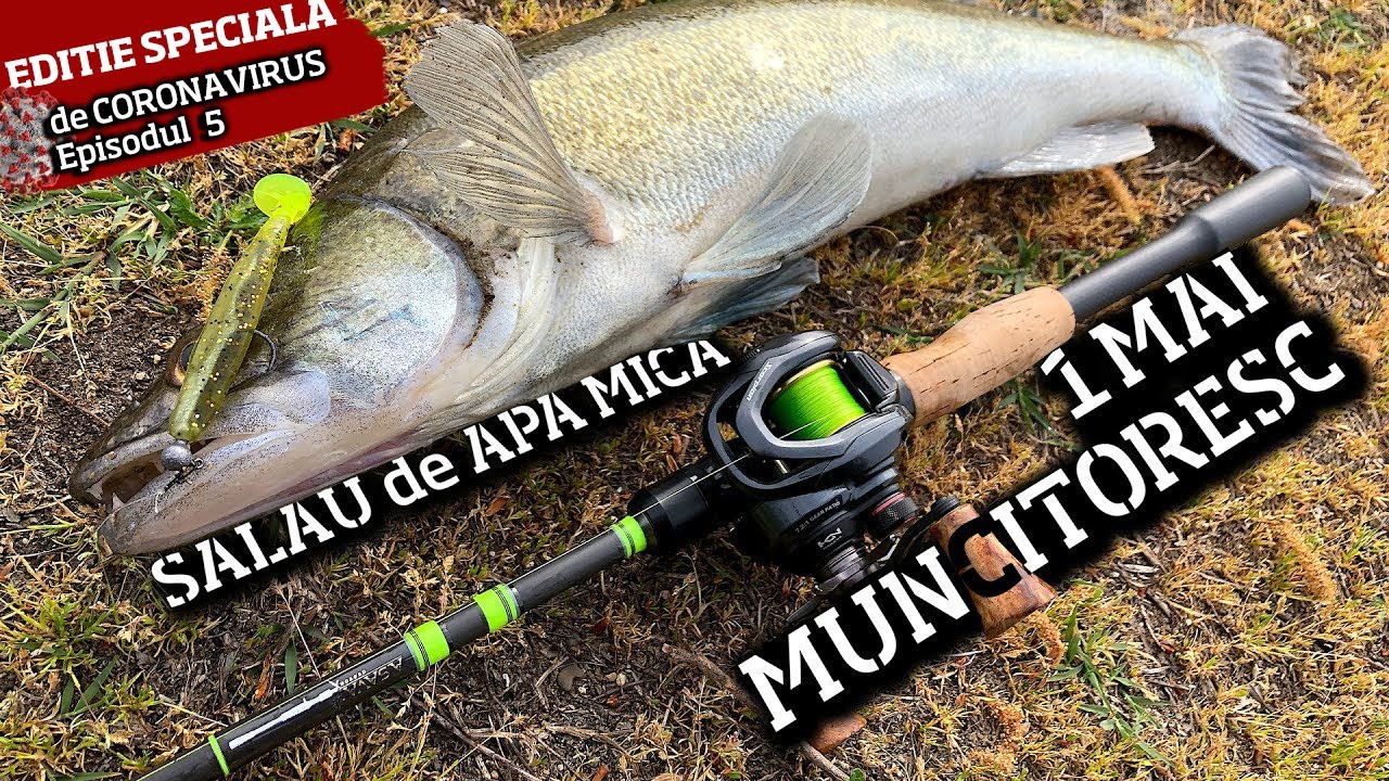 GROZAV e la SALAU pe APA MICA. La MUNCA de 1 MAI