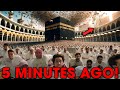 Strange Insects INVADE Kaaba In Mecca And TERRIFIES Muslims