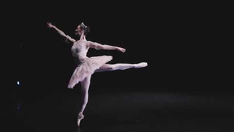 The Nutcracker: The Dance of the Sugar Plum Fairy