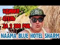 Naama Blue Hotel Sharm el sheikh - 1 серия. Заселение. Бессейн. Обед. Территория. Пляж. Naama Bay