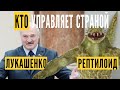 СМЕРТОНОСНАЯ ЛЮБОВЬ ЛУКАШЕНКО, КОРОНАВИРУС, ИЛИ РЕПТИЛОИДЫ ?